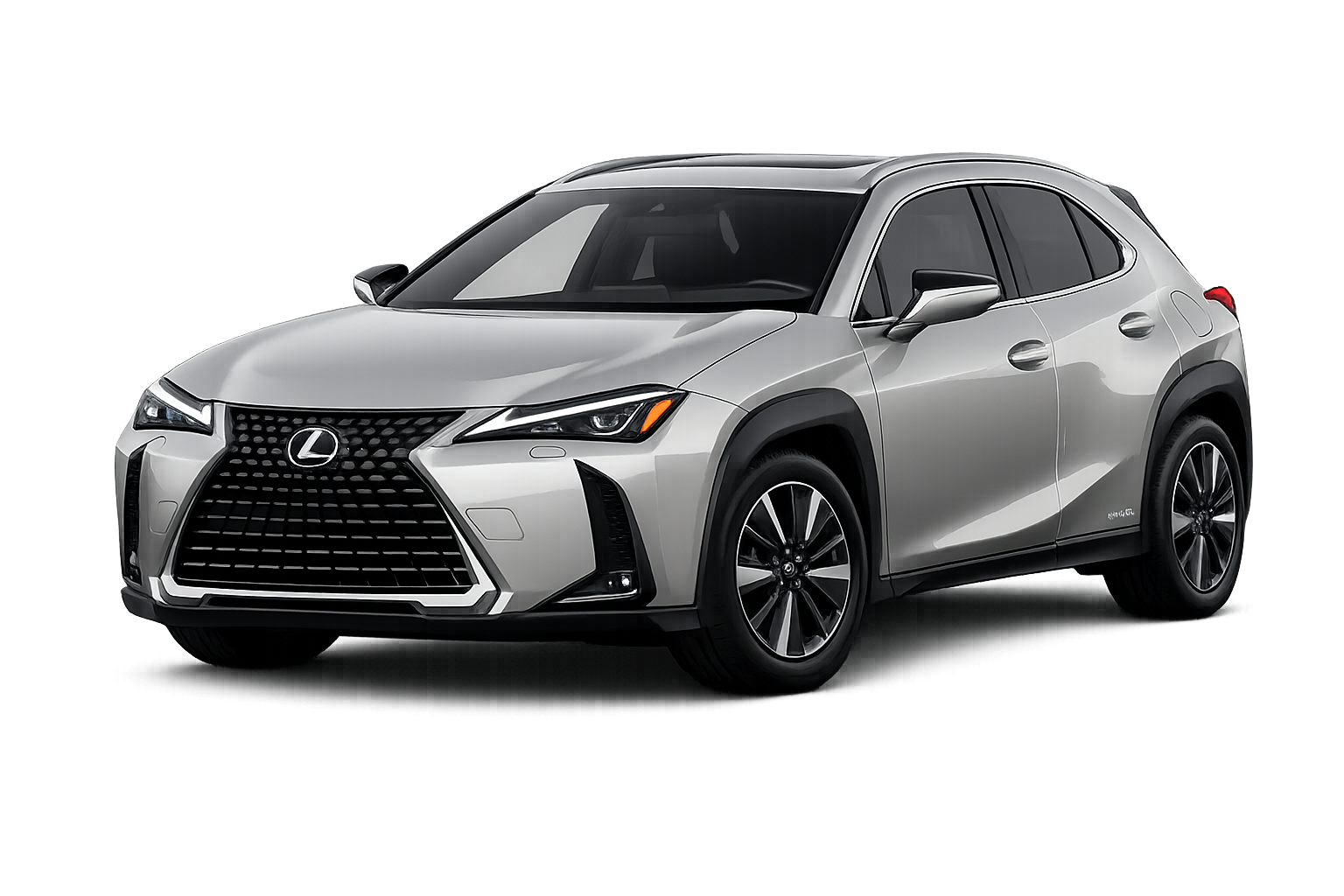 2024 Lexus UX 300e owner manual vehicle image