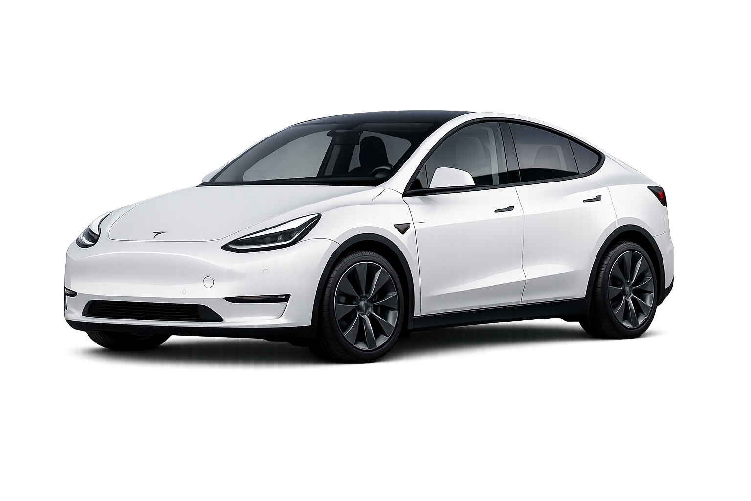 2025 Tesla Model Y preview image